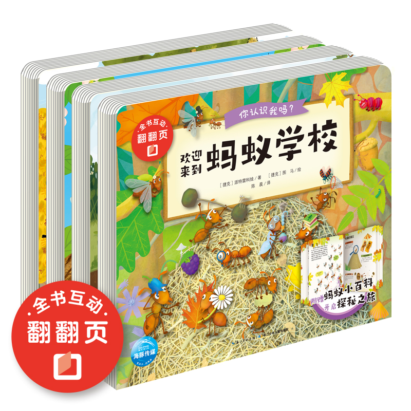 你认识我吗？（套系）